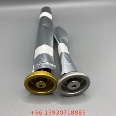 Kobieta worek na zawór dla produktów wrażliwych na tlen i przedłużony okres trwałości